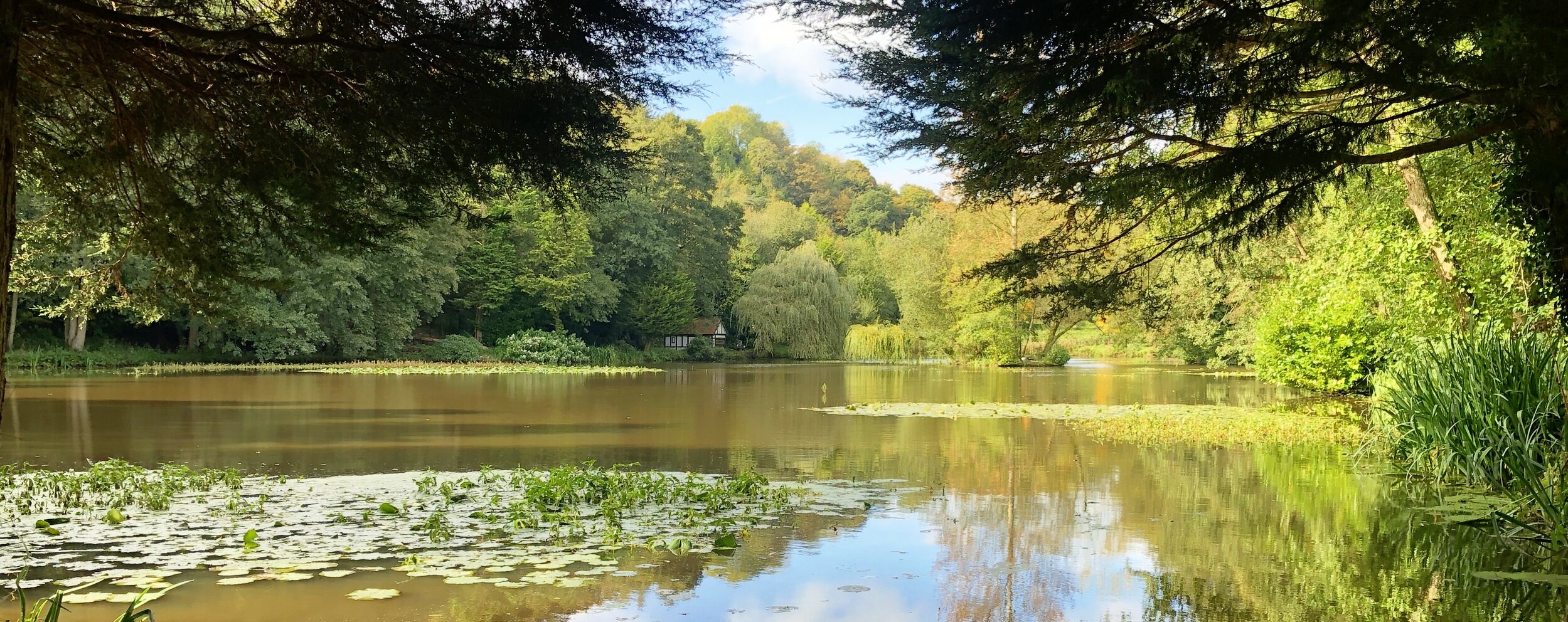 Crabtree Fisheries Lake Overview